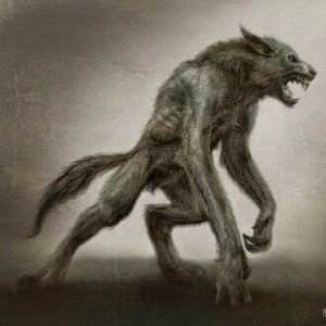 Meet your Posher, Lawrence